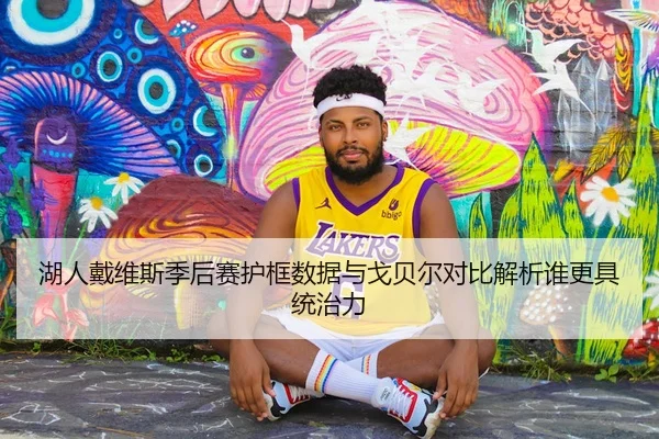 湖人戴维斯季后赛护框数据与戈贝尔对比解析谁更具统治力
